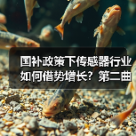 国补政策下传感器行业如何借势增长?第二曲线待寻(图3) 国补政策下传感器行业如何借势增长?第二曲线待寻(图3)