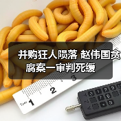 并购狂人陨落 赵伟国贪腐案一审判死缓(图2) 并购狂人陨落 赵伟国贪腐案一审判死缓(图2)