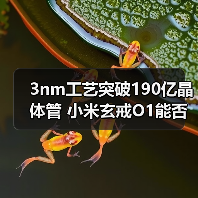 3nm工艺突破190亿晶体管 小米玄戒O1能否逆袭芯片赛道(图4) 3nm工艺突破190亿晶体管 小米玄戒O1能否逆袭芯片赛道(图4)