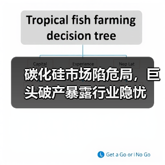 碳化硅市场陷危局,巨头破产暴露行业隐忧(图4) 碳化硅市场陷危局,巨头破产暴露行业隐忧(图4)