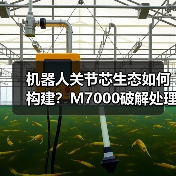 机器人关节芯生态如何构建?M7000破解处理器到算法闭环难题(图1) 机器人关节芯生态如何构建?M7000破解处理器到算法闭环难题(图1)