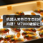 机器人关节芯生态如何构建?M7000破解处理器到算法闭环难题(图3) 机器人关节芯生态如何构建?M7000破解处理器到算法闭环难题(图3)