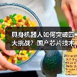具身机器人如何突破四大挑战？国产芯片技术底座解析（图4）