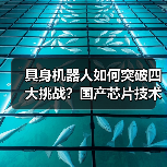 具身机器人如何突破四大挑战？国产芯片技术底座解析（图3）