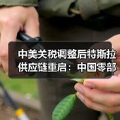 中美关税调整后特斯拉供应链重启：中国零部件进口计划启动（图4）