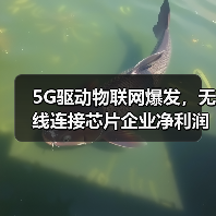 5G驱动物联网爆发，无线连接芯片企业净利润翻倍？（图4）