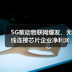 5G驱动物联网爆发，无线连接芯片企业净利润翻倍？（图2）