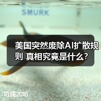 美国突然废除AI扩散规则 真相究竟是什么？（图2）