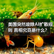 美国突然废除AI扩散规则 真相究竟是什么？（图3）