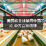 美国欲全球禁用中国芯片 中方立场强硬（图3）