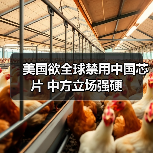 美国欲全球禁用中国芯片 中方立场强硬（图2）