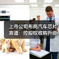 上市公司布局汽车芯片赛道：控股权收购升级双轮驱动战略（图1）