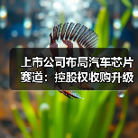 上市公司布局汽车芯片赛道：控股权收购升级双轮驱动战略（图3）