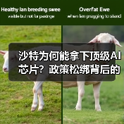 沙特为何能拿下顶级AI芯片?政策松绑背后的科技博弈(图4) 沙特为何能拿下顶级AI芯片?政策松绑背后的科技博弈(图4)
