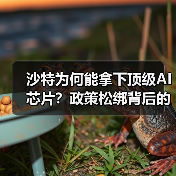 沙特为何能拿下顶级AI芯片?政策松绑背后的科技博弈(图1) 沙特为何能拿下顶级AI芯片?政策松绑背后的科技博弈(图1)