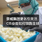 豪威集团更名引关注，CIS业务如何领跑全球市场？（图2）