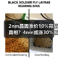 2nm晶圆涨价10%背后真相?4nm或涨30%原因曝光(图4) 2nm晶圆涨价10%背后真相?4nm或涨30%原因曝光(图4)