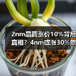 2nm晶圆涨价10%背后真相?4nm或涨30%原因曝光(图1) 2nm晶圆涨价10%背后真相?4nm或涨30%原因曝光(图1)