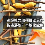 边缘算力如何推动具身智能落地？本地化应用全解析（图2）