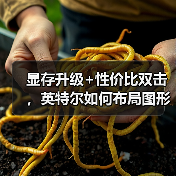 显存升级+性价比双击，英特尔如何布局图形与AI工作站市场？（图3）