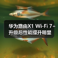 华为路由X1 Wi-Fi 7+升级后性能提升明显（图3）