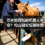 芯片如何赋能机器人革命?松山湖论坛揭秘国产芯突破(图4) 芯片如何赋能机器人革命?松山湖论坛揭秘国产芯突破(图4)