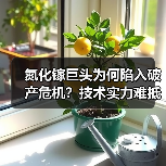 氮化镓巨头为何陷入破产危机？技术实力难抵债务缠身（图4）