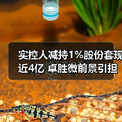实控人减持1%股份套现近4亿 卓胜微前景引担忧（图1）