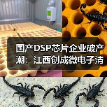 国产DSP芯片企业破产潮：江西创成微电子清算危机（图2）