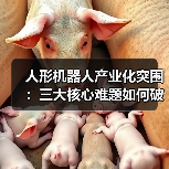 人形机器人产业化突围:三大核心难题如何破解?(图2) 人形机器人产业化突围:三大核心难题如何破解?(图2)