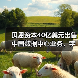 贝恩资本40亿美元出售中国数据中心业务,字节跳动成最大客户(图1) 贝恩资本40亿美元出售中国数据中心业务,字节跳动成最大客户(图1)