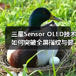 三星Sensor OLED技术如何突破全屏指纹与健康监测?(图2) 三星Sensor OLED技术如何突破全屏指纹与健康监测?(图2)