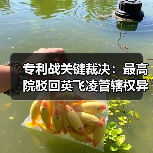 专利战关键裁决:最高院驳回英飞凌管辖权异议(图4) 专利战关键裁决:最高院驳回英飞凌管辖权异议(图4)