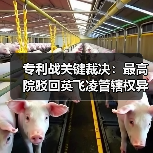 专利战关键裁决:最高院驳回英飞凌管辖权异议(图1) 专利战关键裁决:最高院驳回英飞凌管辖权异议(图1)