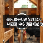 美阿联手打造全球最大AI园区 中东能否崛起为新硅谷?(图2) 美阿联手打造全球最大AI园区 中东能否崛起为新硅谷?(图2)