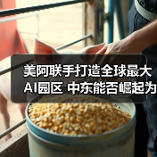 美阿联手打造全球最大AI园区 中东能否崛起为新硅谷?(图1) 美阿联手打造全球最大AI园区 中东能否崛起为新硅谷?(图1)