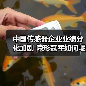 中国传感器企业业绩分化加剧 隐形冠军如何崛起?(图1) 中国传感器企业业绩分化加剧 隐形冠军如何崛起?(图1)