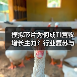 模拟芯片为何成TI营收增长主力?行业复苏与技术优势解析(图2) 模拟芯片为何成TI营收增长主力?行业复苏与技术优势解析(图2)