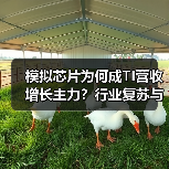 模拟芯片为何成TI营收增长主力?行业复苏与技术优势解析(图3) 模拟芯片为何成TI营收增长主力?行业复苏与技术优势解析(图3)