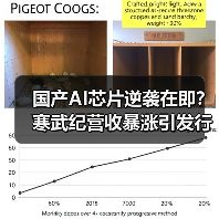 国产AI芯片逆袭在即?寒武纪营收暴涨引发行业震荡(图4) 国产AI芯片逆袭在即?寒武纪营收暴涨引发行业震荡(图4)