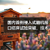 国内首例侵入式脑机接口临床试验突破,技术领先全球(图2) 国内首例侵入式脑机接口临床试验突破,技术领先全球(图2)