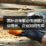 国补政策驱动传感器行业增长，企业如何布局第二曲线？（图2）