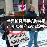苹果折叠屏手机即将量产 折叠屏产业链或迎爆发式增长?(图4) 苹果折叠屏手机即将量产 折叠屏产业链或迎爆发式增长?(图4)