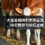 大基金减持引市场震荡，中芯国际与华虹业绩分化（图2）