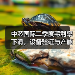 中芯国际二季度毛利率下滑,设备验证与产能波动如何影响行业?(图1) 中芯国际二季度毛利率下滑,设备验证与产能波动如何影响行业?(图1)