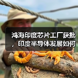 鸿海印度芯片工厂获批,印度半导体发展如何突破?(图2) 鸿海印度芯片工厂获批,印度半导体发展如何突破?(图2)