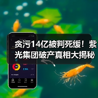 贪污14亿被判死缓！紫光集团破产真相大揭秘（图1）