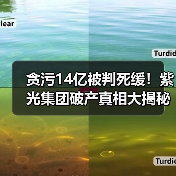 贪污14亿被判死缓！紫光集团破产真相大揭秘（图2）