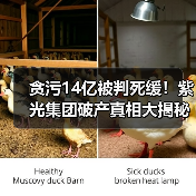 贪污14亿被判死缓！紫光集团破产真相大揭秘（图3）