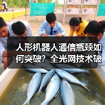 人形机器人通信瓶颈如何突破?全光网技术破解通感控融合难题(图2) 人形机器人通信瓶颈如何突破?全光网技术破解通感控融合难题(图2)